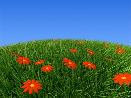 simsearch:400-08287140,k - 3d rendered illustration of a green hill with flowers Foto de stock - Royalty-Free Super Valor e Assinatura, Número: 400-04479308