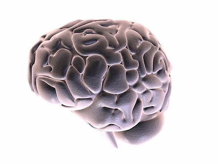 simsearch:400-05120947,k - 3d rendered anatomy illustration of a human brain from the side Stock Photo - Budget Royalty-Free & Subscription, Code: 400-04479327