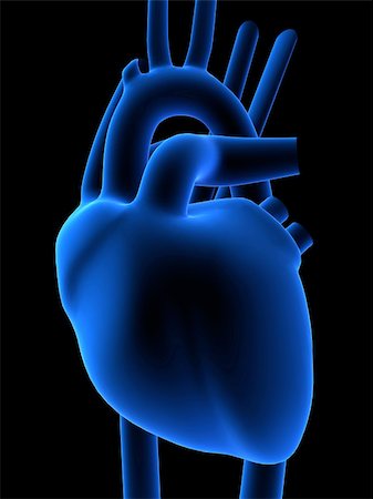 simsearch:400-04008696,k - 3d rendered anatomy illustration of a human heart Photographie de stock - Aubaine LD & Abonnement, Code: 400-04479333