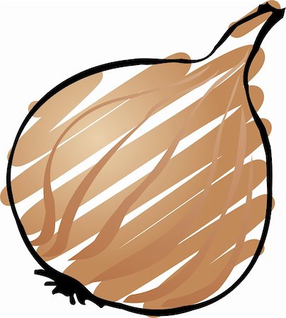simsearch:400-08528929,k - Sketch of an onion. Hand-drawn lineart look illustration Foto de stock - Royalty-Free Super Valor e Assinatura, Número: 400-04470013
