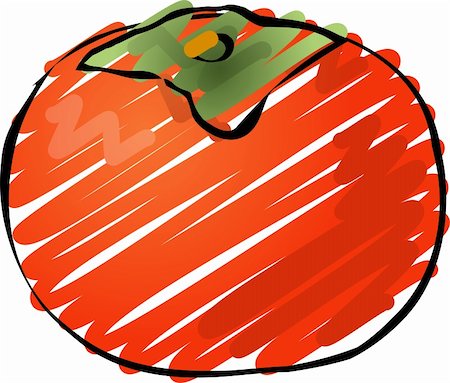 sketchy - Persimmon fruit, hand drawn colored lineart illustration  rough sketchy coloring Stock Photo - Budget Royalty-Free & Subscription, Code: 400-04470020