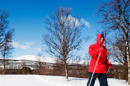 simsearch:400-03939497,k - A skier on a wintery snow filled landscape. Foto de stock - Super Valor sin royalties y Suscripción, Código: 400-04470067