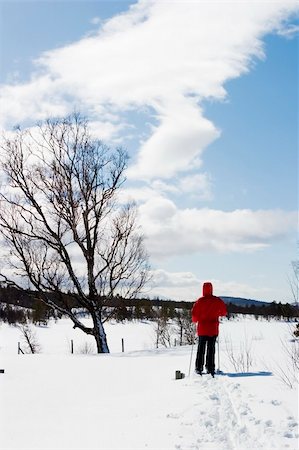 simsearch:400-03939497,k - A skier on a wintery snow filled landscape. Foto de stock - Super Valor sin royalties y Suscripción, Código: 400-04470069
