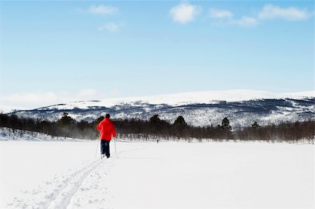 simsearch:400-03939497,k - A skier on a wintery snow filled landscape. Foto de stock - Super Valor sin royalties y Suscripción, Código: 400-04470078