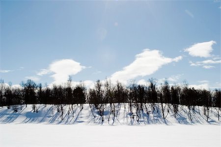 simsearch:400-03939497,k - A frozen lake covered in snow with a blue sky and lens flare. Foto de stock - Super Valor sin royalties y Suscripción, Código: 400-04470079