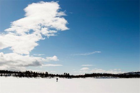 simsearch:400-03939497,k - A skier on a wintery snow filled landscape. Foto de stock - Super Valor sin royalties y Suscripción, Código: 400-04470073