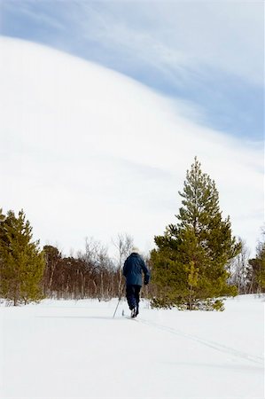 simsearch:400-04520291,k - A ski adventure on a snowy landscape Stockbilder - Microstock & Abonnement, Bildnummer: 400-04470085