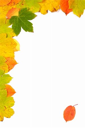 simsearch:400-03950884,k - Colorful autumn corner made from leaves with soft shadow, on white background Photographie de stock - Aubaine LD & Abonnement, Code: 400-04470449