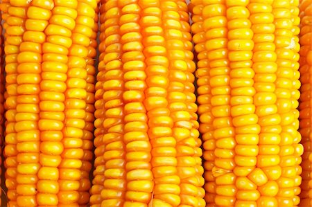 simsearch:400-04360457,k - A macro of yellow fresh sweet corn background Photographie de stock - Aubaine LD & Abonnement, Code: 400-04470514