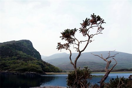 simsearch:400-08773280,k - scenic view of a killarney lake Stockbilder - Microstock & Abonnement, Bildnummer: 400-04470603