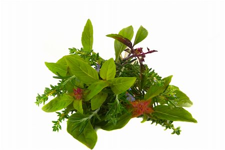 Aromatic herbs on white background Foto de stock - Royalty-Free Super Valor e Assinatura, Número: 400-04470693