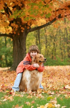 emotional golden retriever - Boy Giving Golden Retriever a Hug under a Beautiful Fall Tree Stock Photo - Budget Royalty-Free & Subscription, Code: 400-04470779
