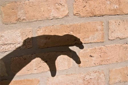 simsearch:700-00768700,k - Shadow of hand on wall Fotografie stock - Microstock e Abbonamento, Codice: 400-04484923