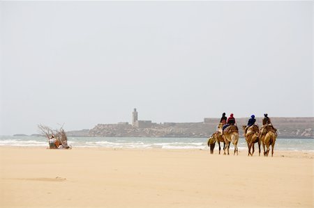 simsearch:400-06063122,k - Group of tourists on camels on coast of ocean Foto de stock - Super Valor sin royalties y Suscripción, Código: 400-04485466