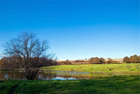 simsearch:400-04115682,k - beautiful view of the landscape Photographie de stock - Aubaine LD & Abonnement, Code: 400-04485853