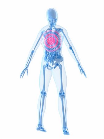 simsearch:400-04163427,k - 3d rendered anatomy illustration of a human skeleton with a painful spine Stockbilder - Microstock & Abonnement, Bildnummer: 400-04486961