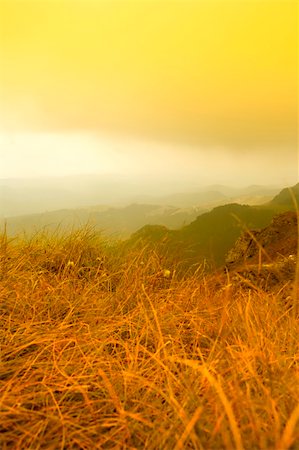 simsearch:400-09274553,k - Yellow hills landscape in a autumn day Stock Photo - Budget Royalty-Free & Subscription, Code: 400-04487988