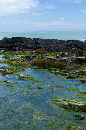 simsearch:400-03976503,k - View of an Irish bay, with seaweed covered rocks Stock Photo - Budget Royalty-Free & Subscription, Code: 400-04488653