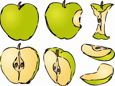 Isometric 3d illustrtion of apples lineart hand-drawn look, bitten, core, halved, and quartered Stock Photo - Budget Royalty-Free & Subscription, Code: 400-04488914