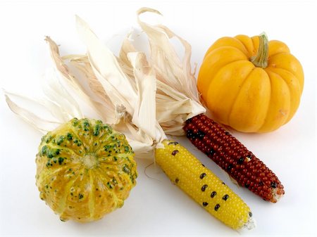 Harvest medley - Indian corn, pumpkin, gourd Stockbilder - Microstock & Abonnement, Bildnummer: 400-04489196