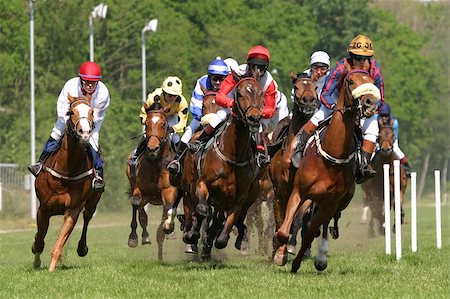 simsearch:700-00080122,k - horse and jockey at race-course up to the finish line Stock Photo - Budget Royalty-Free & Subscription, Code: 400-04489732