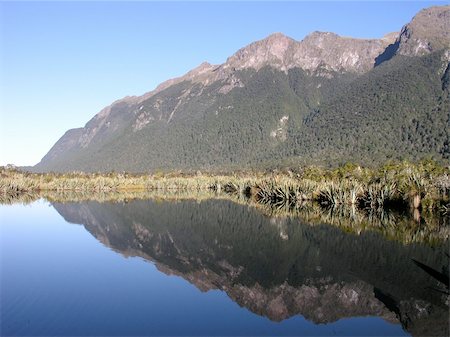 fiordland national park - Mirror Lake, Fjordland, South Island, New Zealand Foto de stock - Super Valor sin royalties y Suscripción, Código: 400-04489764