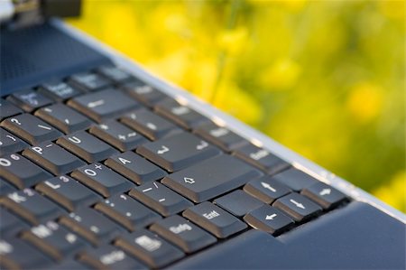 simsearch:400-08997106,k - Detail of a laptop outside in a field of yellow flowers Stock Photo - Budget Royalty-Free & Subscription, Code: 400-04480448