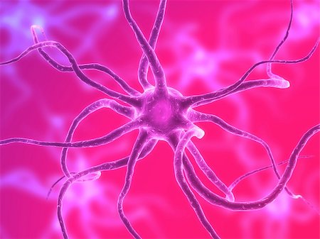 simsearch:400-03961909,k - 3d rendered illustration of a nerve cell Foto de stock - Royalty-Free Super Valor e Assinatura, Número: 400-04480769