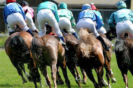 simsearch:700-00080122,k - horse and jockey at race-course up to the finish line Stock Photo - Budget Royalty-Free & Subscription, Code: 400-04481332