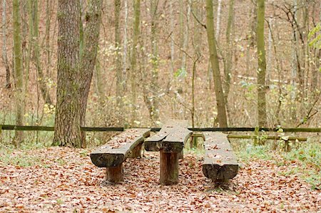 pees (artist) - Benches for rest somewhere in forest Foto de stock - Super Valor sin royalties y Suscripción, Código: 400-04481614