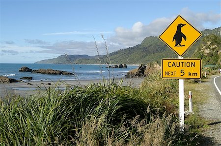 simsearch:400-05317345,k - Penguins crossing sign in rural New Zealand, South Island Photographie de stock - Aubaine LD & Abonnement, Code: 400-04482058