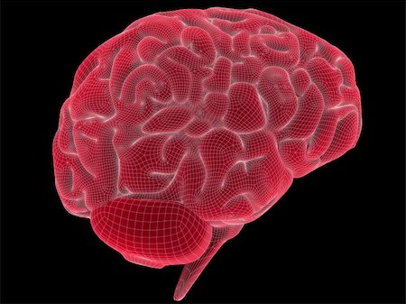subconscious - 3d rendered anatomy illustration of a human brain in a wire Stock Photo - Budget Royalty-Free & Subscription, Code: 400-04482260