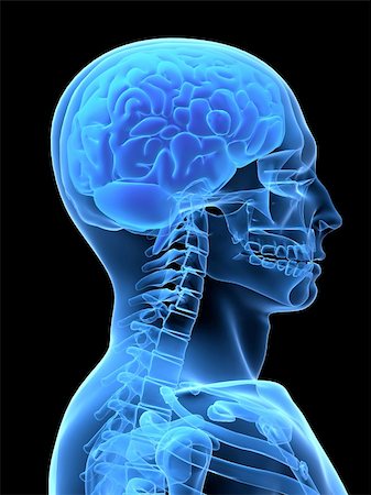 subconscious - 3d rendered x-ray illustration of a human head with brain Stock Photo - Budget Royalty-Free & Subscription, Code: 400-04482328