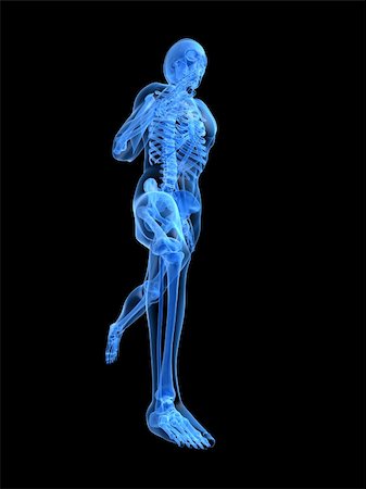 simsearch:400-04191168,k - 3d rendered anatomy illustration of a running skeleton Stock Photo - Budget Royalty-Free & Subscription, Code: 400-04482385