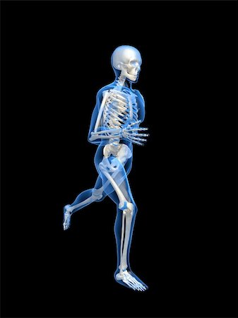 simsearch:400-04191168,k - 3d rendered anatomy illustration of a running skeleton Stock Photo - Budget Royalty-Free & Subscription, Code: 400-04482383