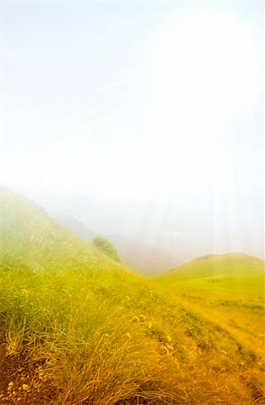 simsearch:400-04761029,k - Yellow hills landscape in a foggy day Fotografie stock - Microstock e Abbonamento, Codice: 400-04482575