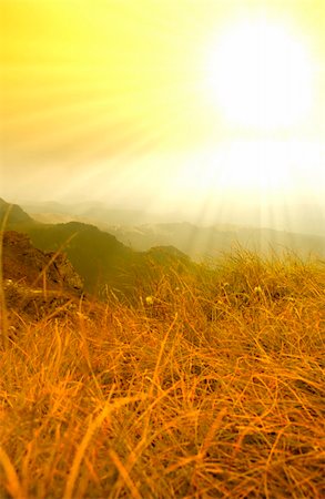 simsearch:400-04761029,k - Yellow hills landscape in a autumn day Fotografie stock - Microstock e Abbonamento, Codice: 400-04482577