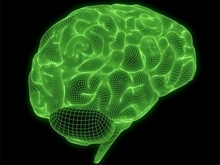 simsearch:400-05120940,k - 3d rendered anatomy illustration of a green wire brain Photographie de stock - Aubaine LD & Abonnement, Code: 400-04482674