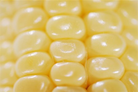 simsearch:400-08378503,k - Fresh corn closeup Stock Photo - Budget Royalty-Free & Subscription, Code: 400-04482733