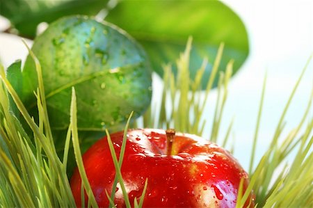 simsearch:400-04727937,k - Apple in the grass with green leaves Stockbilder - Microstock & Abonnement, Bildnummer: 400-04483552