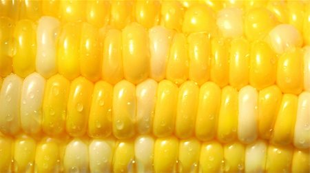 Macro shot of a corn Stock Photo - Budget Royalty-Free & Subscription, Code: 400-04483560