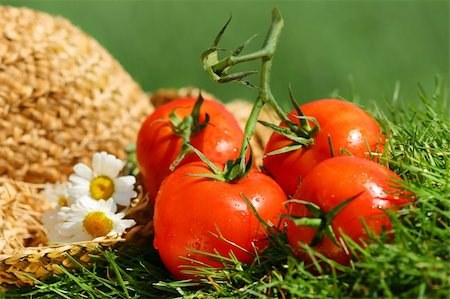 simsearch:400-03914983,k - Summer tomatoes with straw hat Photographie de stock - Aubaine LD & Abonnement, Code: 400-04483577