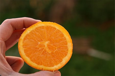 An orange slice held in a hand Stock Photo - Budget Royalty-Free & Subscription, Code: 400-04495022