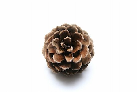 pine cone pattern - A ripe pine cone as seen from above its top Stock Photo - Budget Royalty-Free & Subscription, Code: 400-04495978