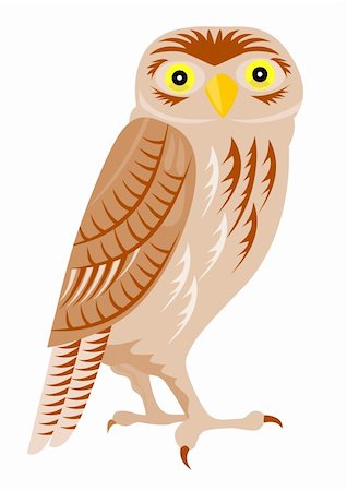 Illustration  on wildlife Photographie de stock - Aubaine LD & Abonnement, Code: 400-04495996