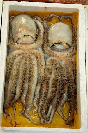 2 Octopus in a box in a seafood market Stock Photo - Budget Royalty-Free & Subscription, Code: 400-04496156