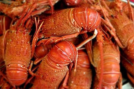 lobsters in the restaurant Stock Photo - Budget Royalty-Free & Subscription, Code: 400-04496279