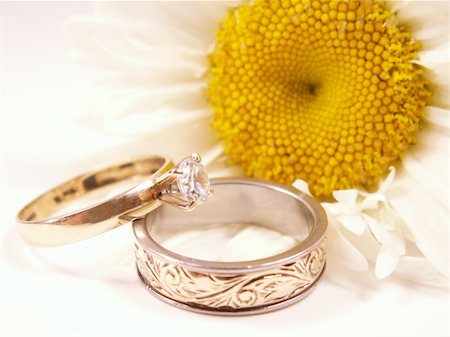 simsearch:700-03720032,k - wedding rings with single daisy out of focus in background Stockbilder - Microstock & Abonnement, Bildnummer: 400-04496364