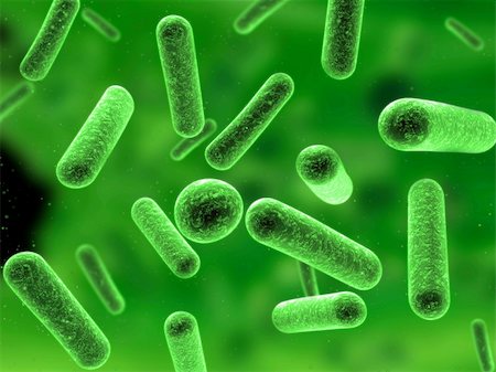 simsearch:400-05226095,k - 3d rendered close up of some bacteria Stock Photo - Budget Royalty-Free & Subscription, Code: 400-04496495