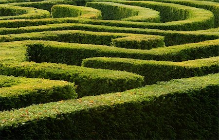 Complex hedge maze Stock Photo - Budget Royalty-Free & Subscription, Code: 400-04497506